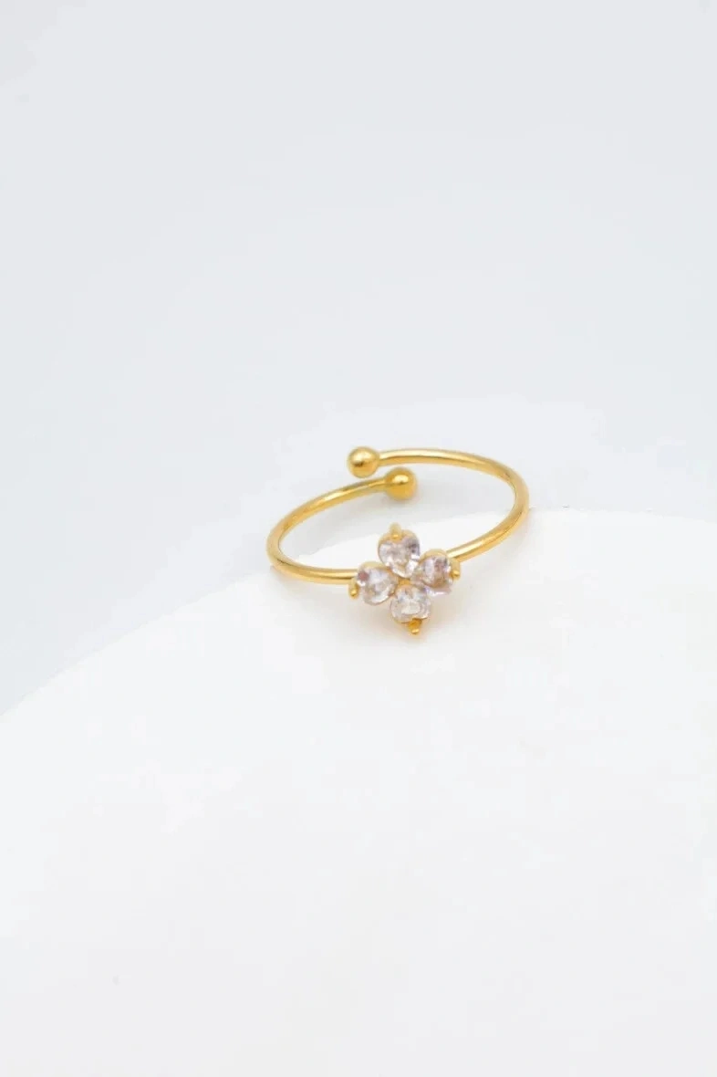 Bague en acier inoxydable ajustable 2