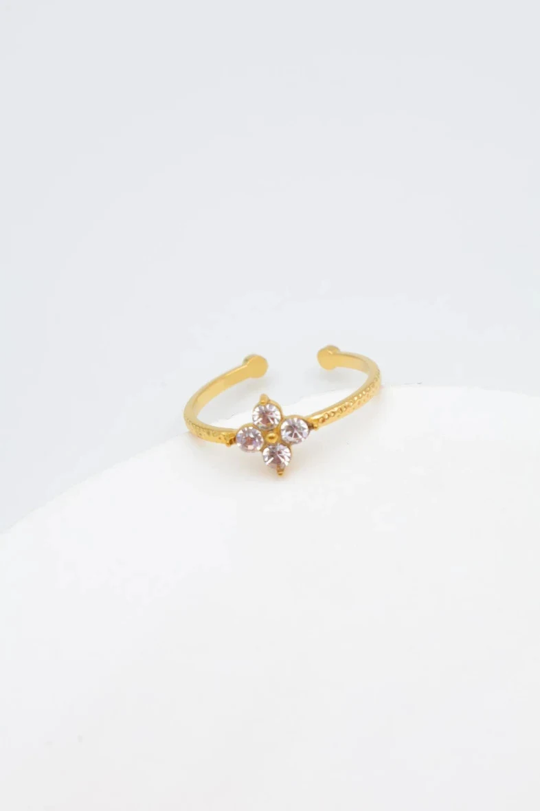 Bague en acier inoxydable ajustable 2