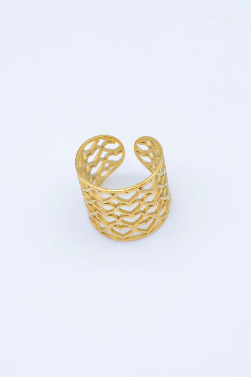 Bague en acier inoxydable ajustable 2