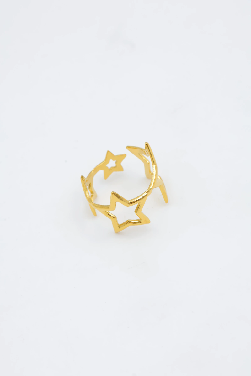 Bague en acier inoxydable ajustable 2