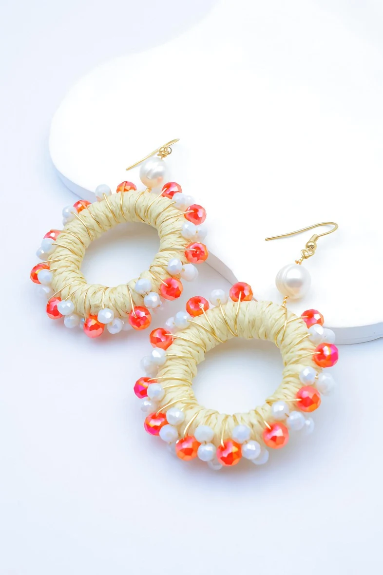 Stainless steel earrings 2
