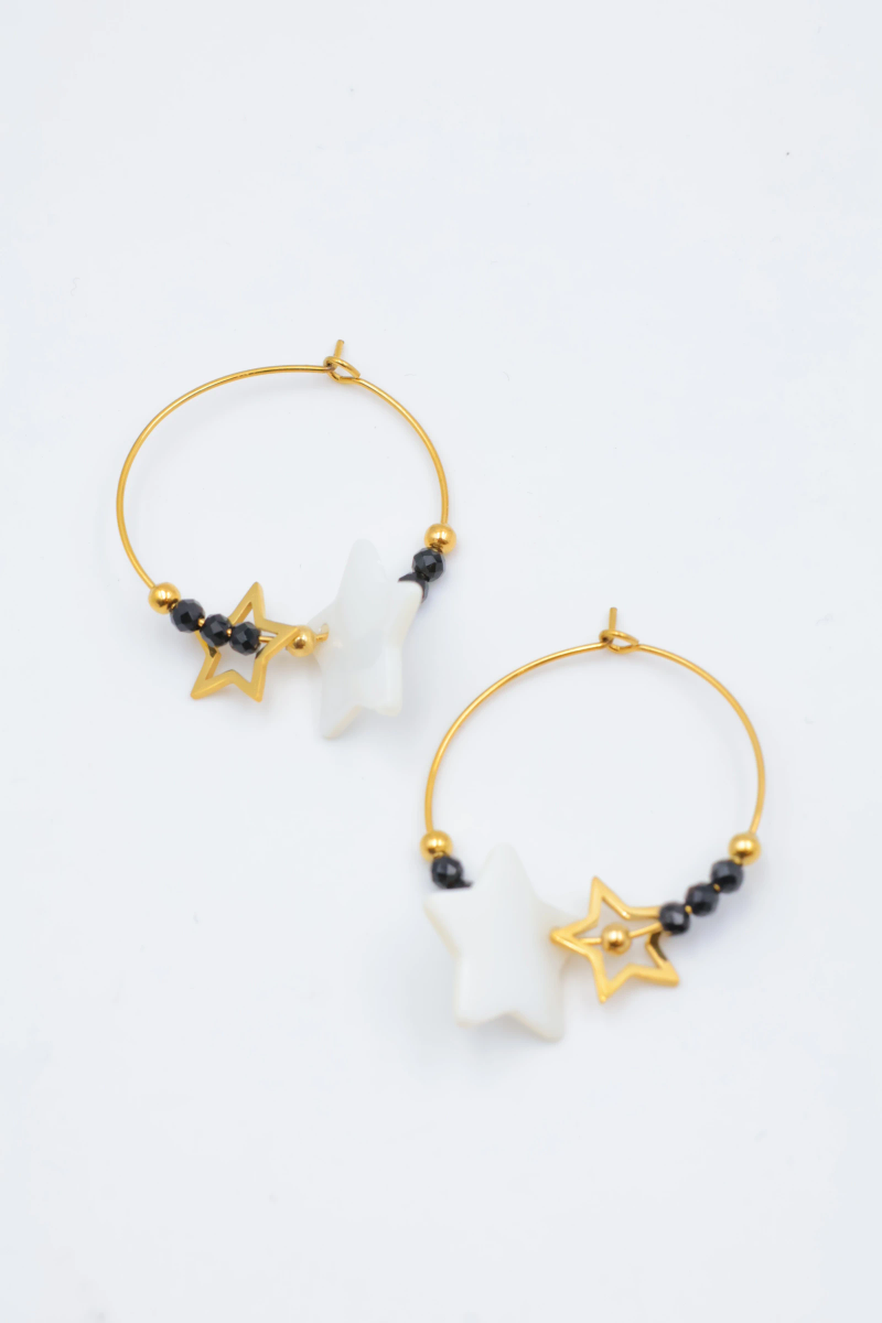 Stainless steel earrings 2
