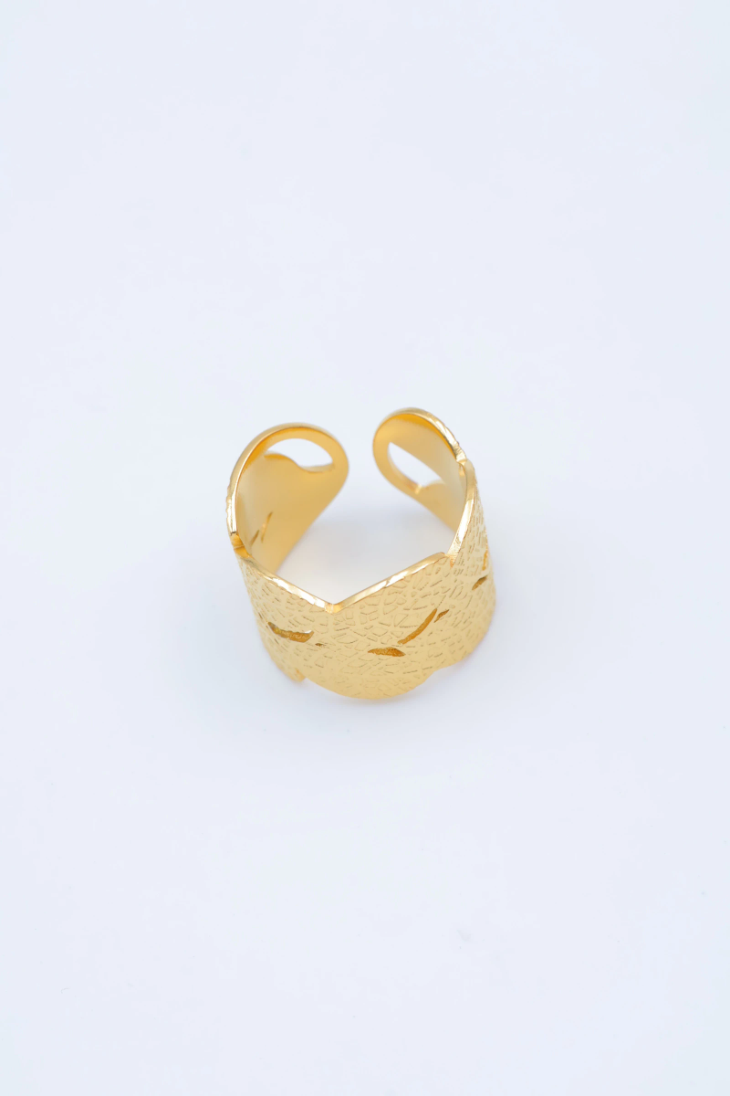 Bague en acier inoxydable ajustable 2