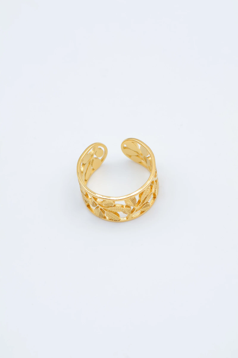 Rings 2