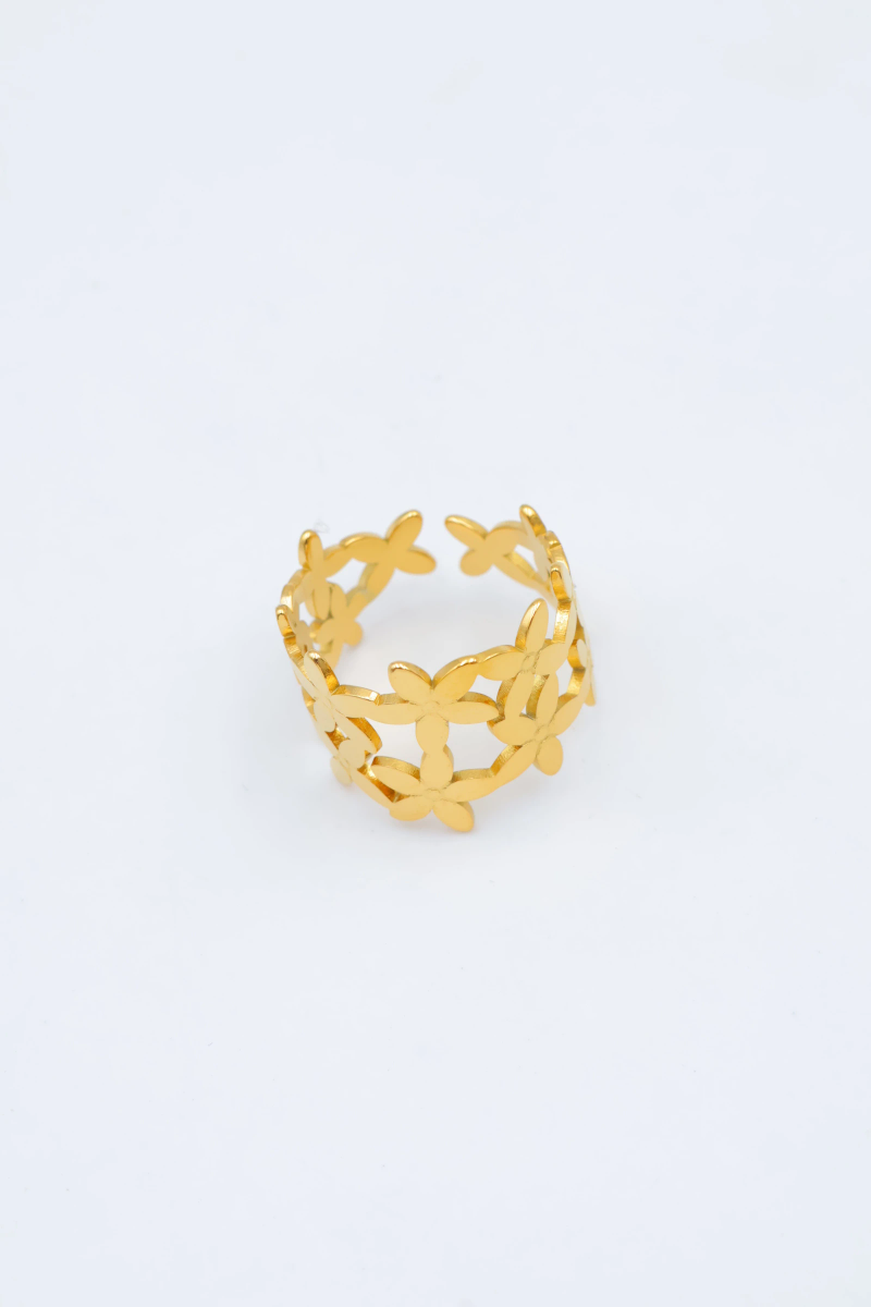 Bague en acier inoxydable ajustable 2