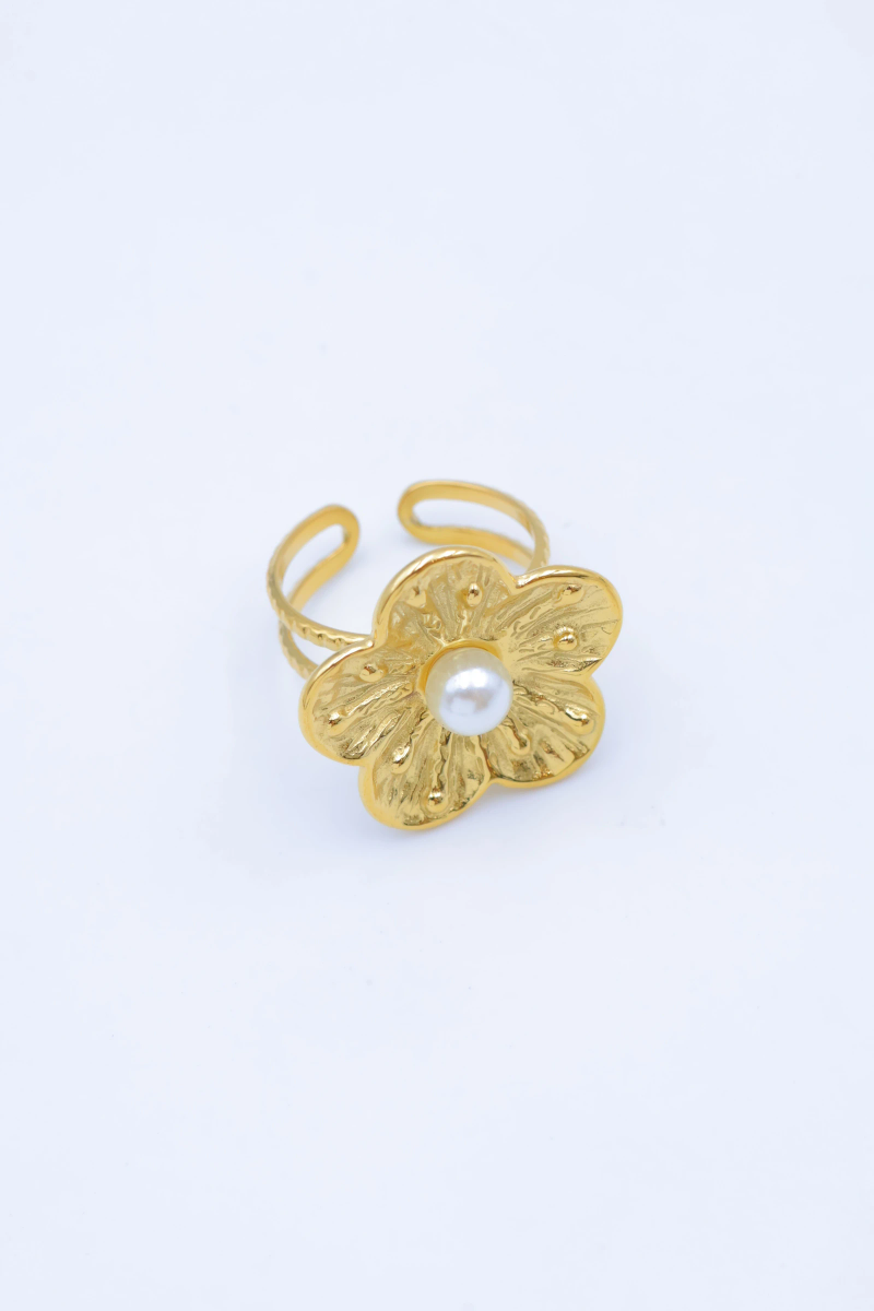 Bague en acier inoxydable ajustable 2