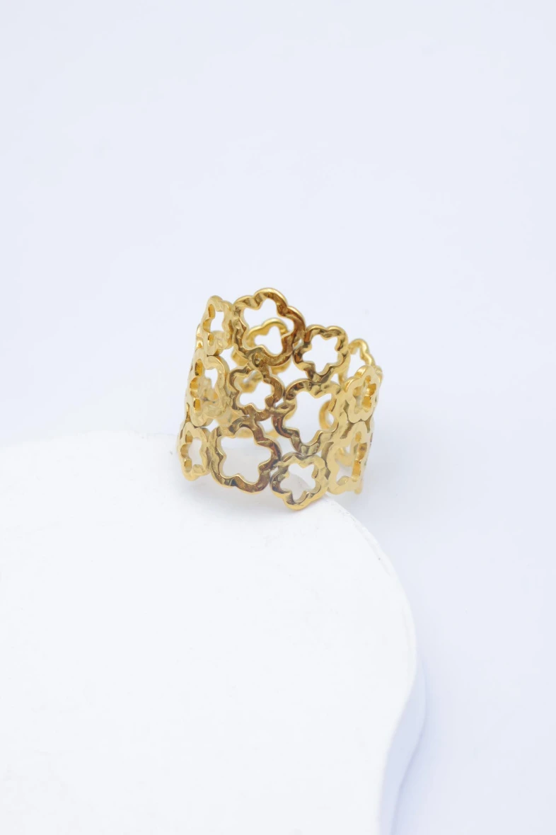 Bague en acier inoxydable ajustable 2