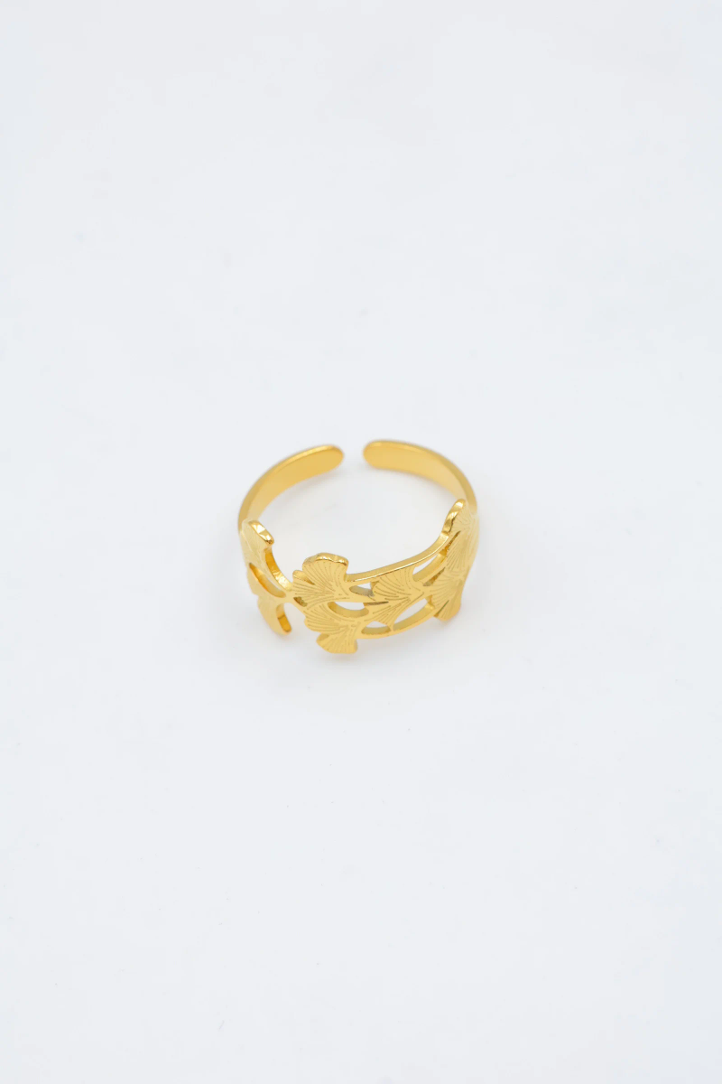 Bague en acier inoxydable ajustable 2
