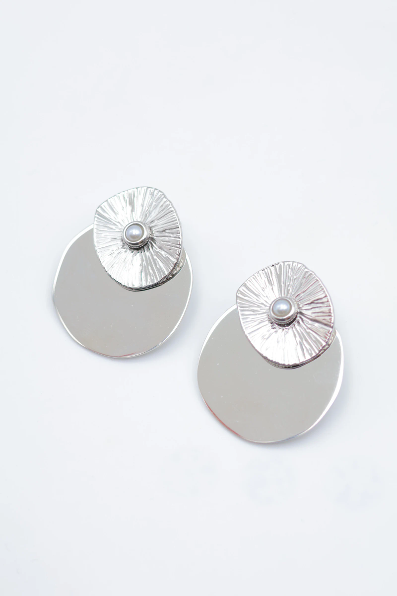Stainless steel earrings 2