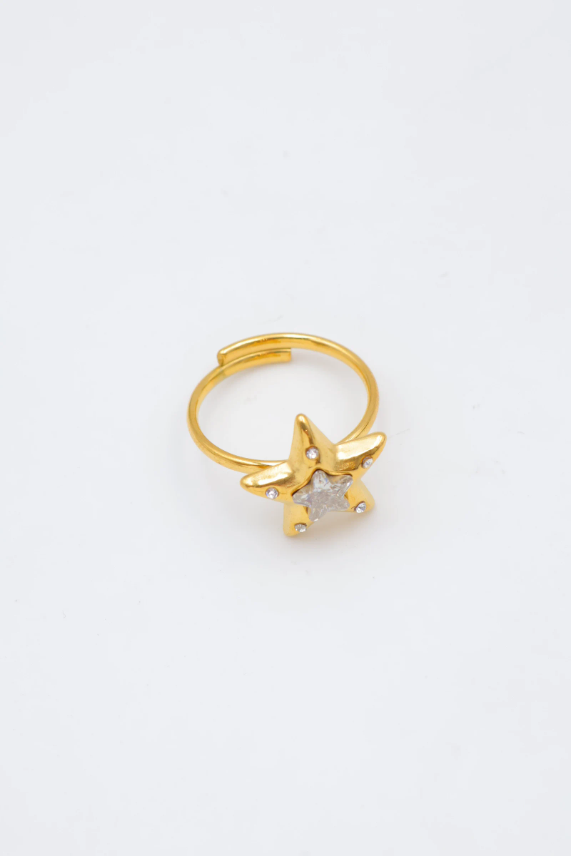 Bague en acier inoxydable ajustable 2