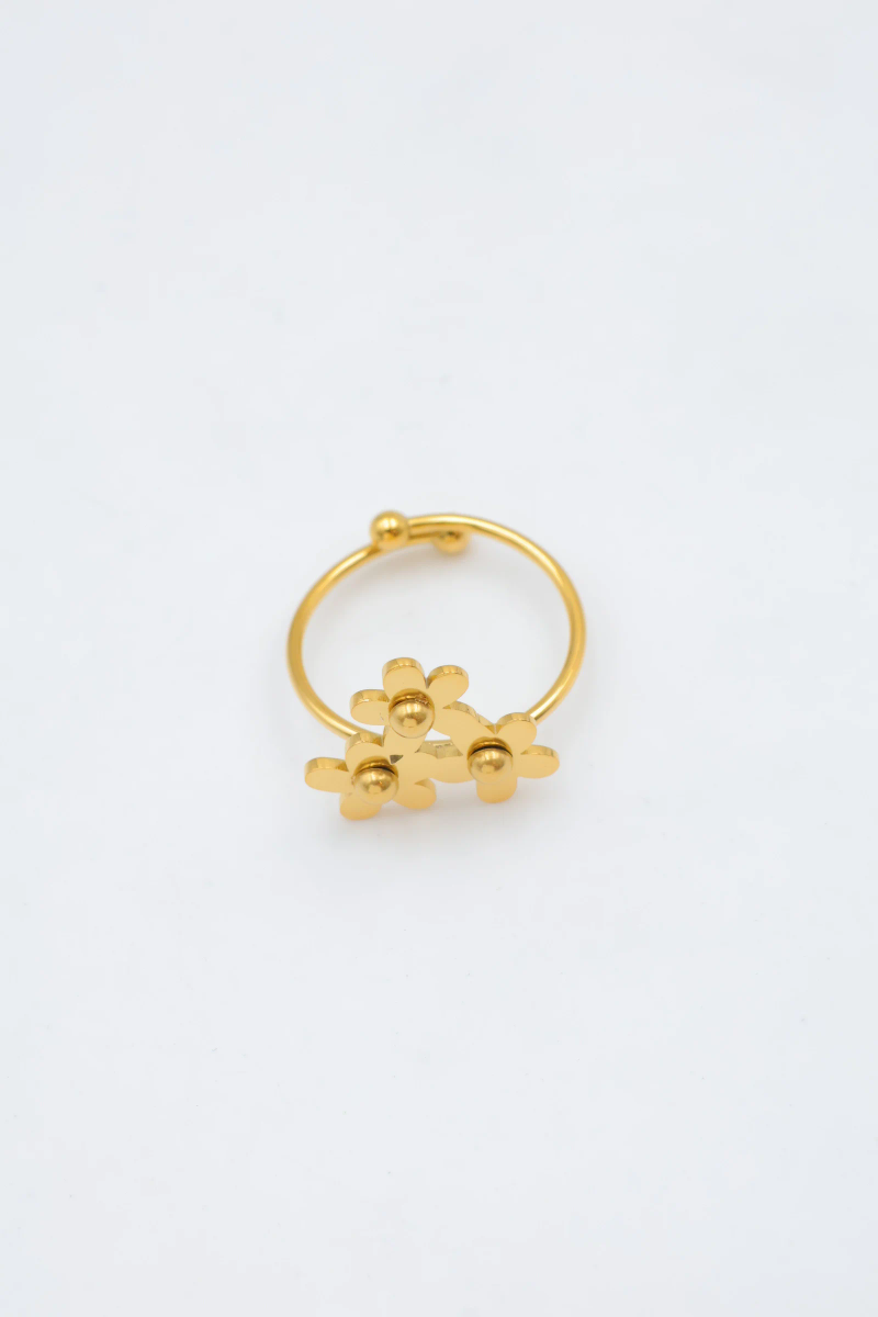 Bague en acier inoxydable ajustable 2
