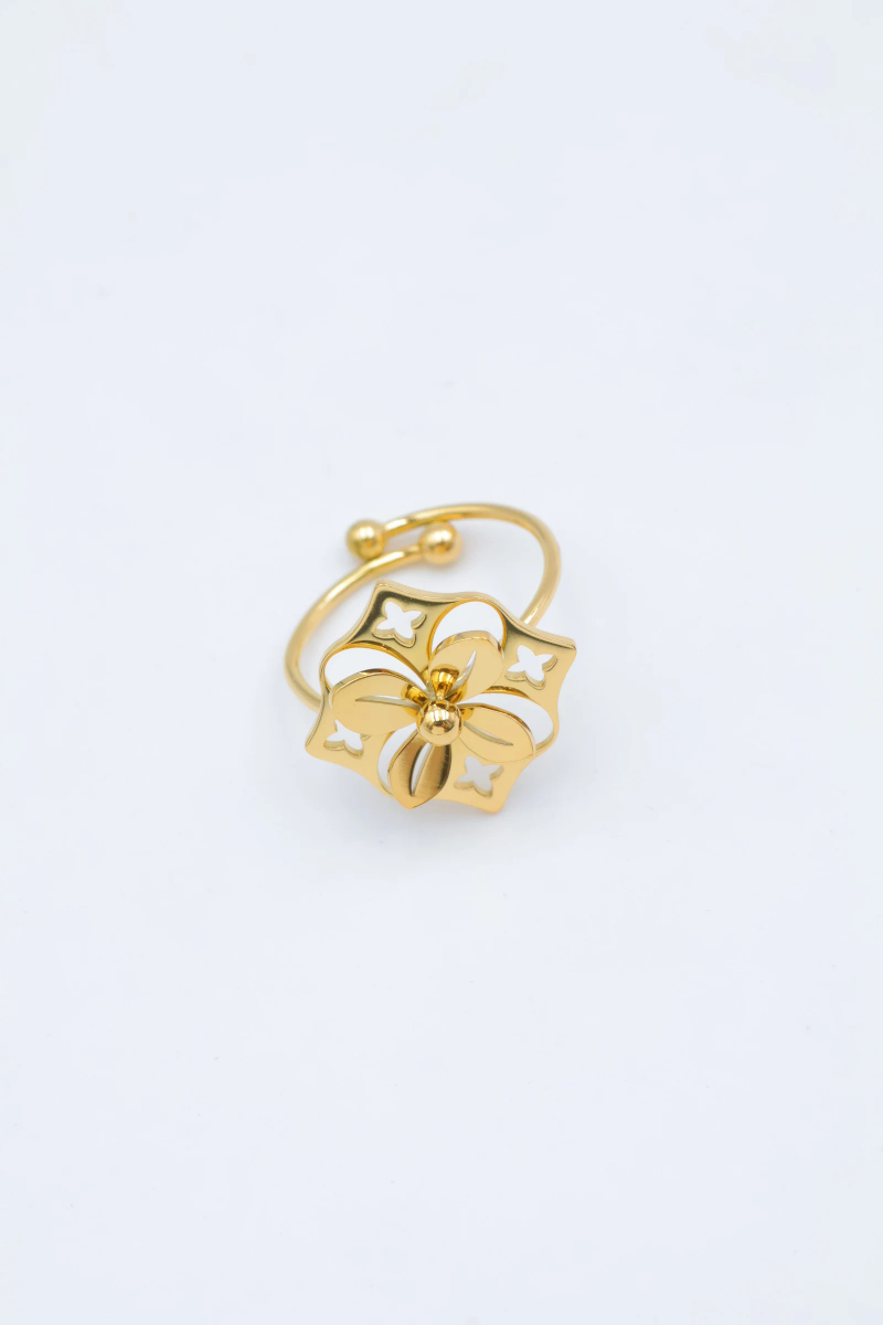 Adjustable stainless steel ring 2