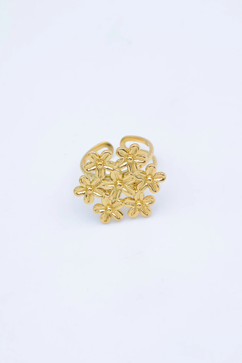Adjustable stainless steel ring 2
