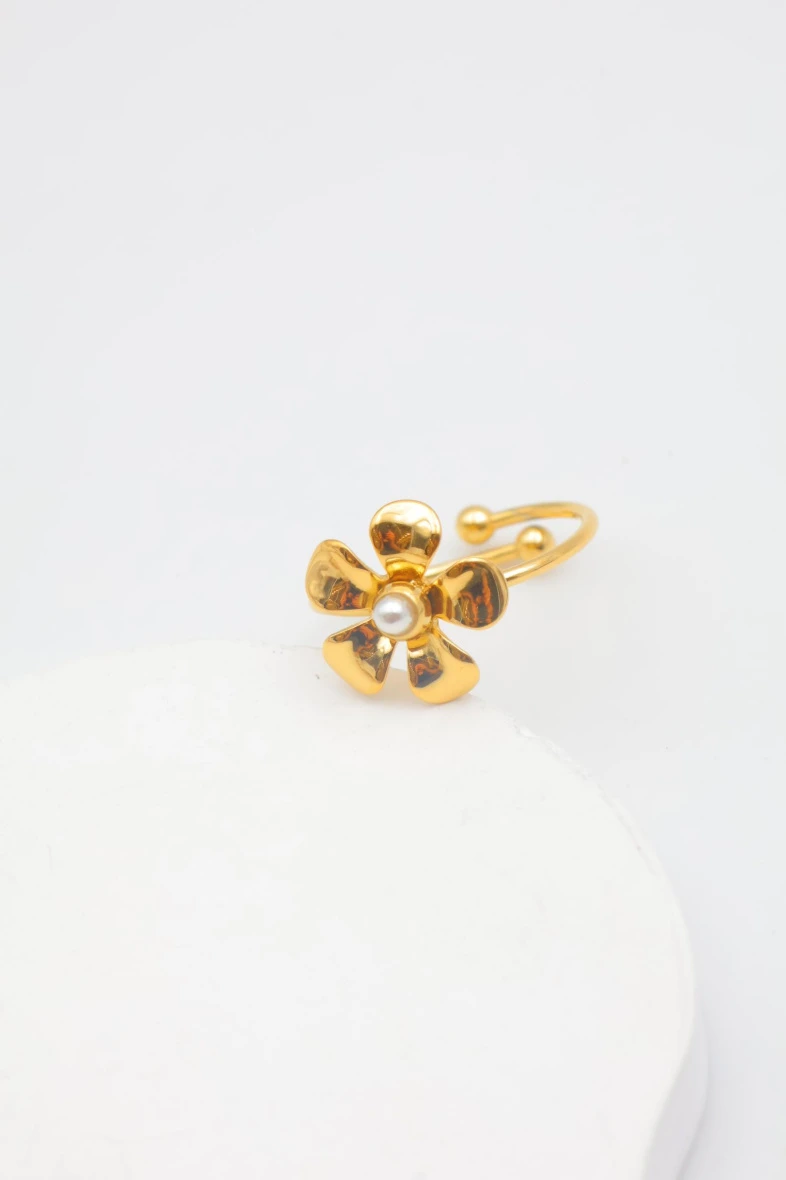 Bague en acier inoxydable ajustable 2