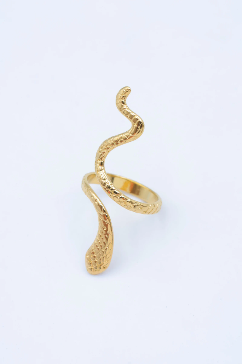 Bague en acier inoxydable ajustable 3