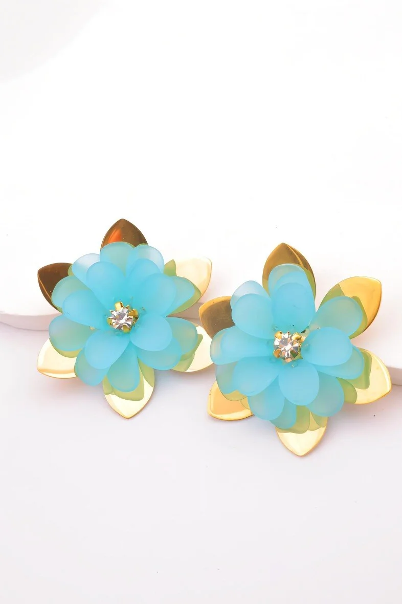 Stainless steel earrings 2