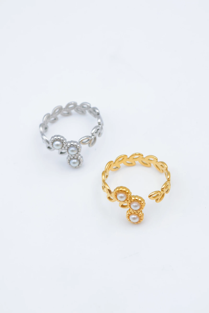 Bague en acier inoxydable ajustable 2