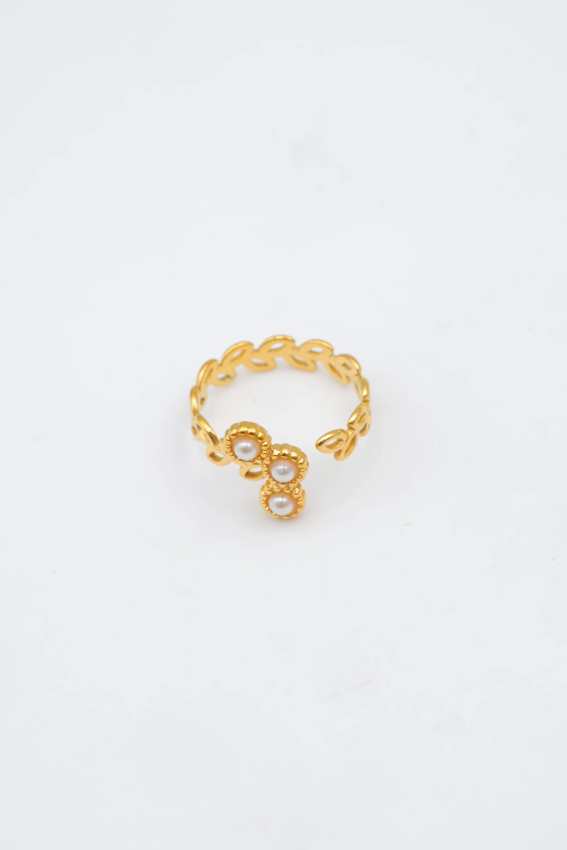 Bague en acier inoxydable ajustable 4