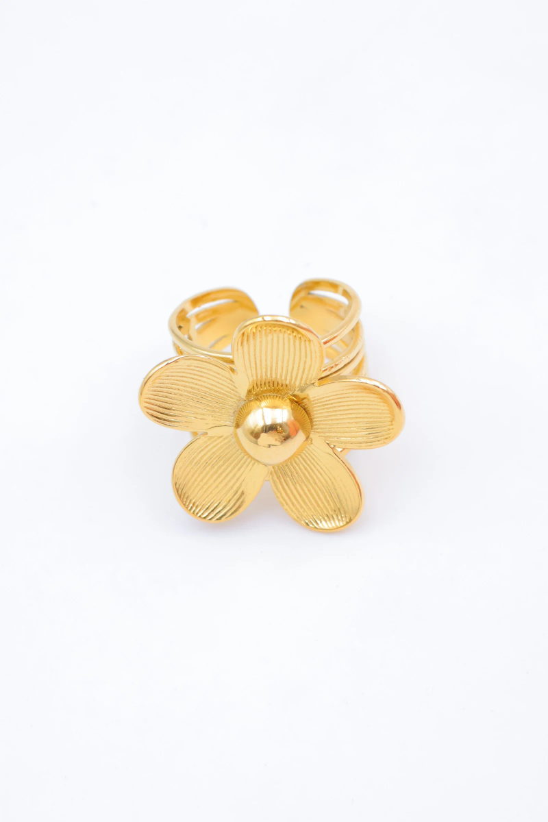 Bague en acier inoxydable ajustable 2