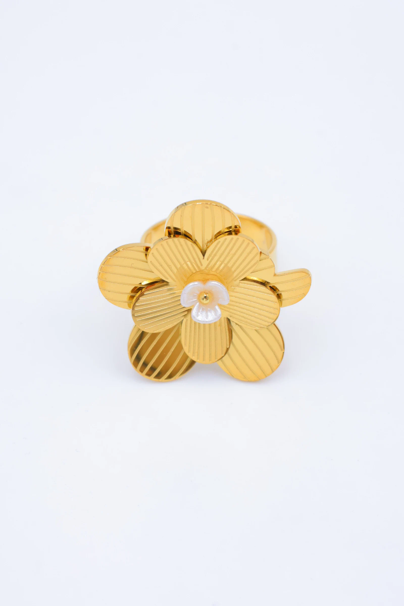 Bague en acier inoxydable ajustable 2