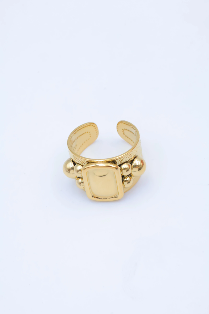Bague en acier inoxydable ajustable 2