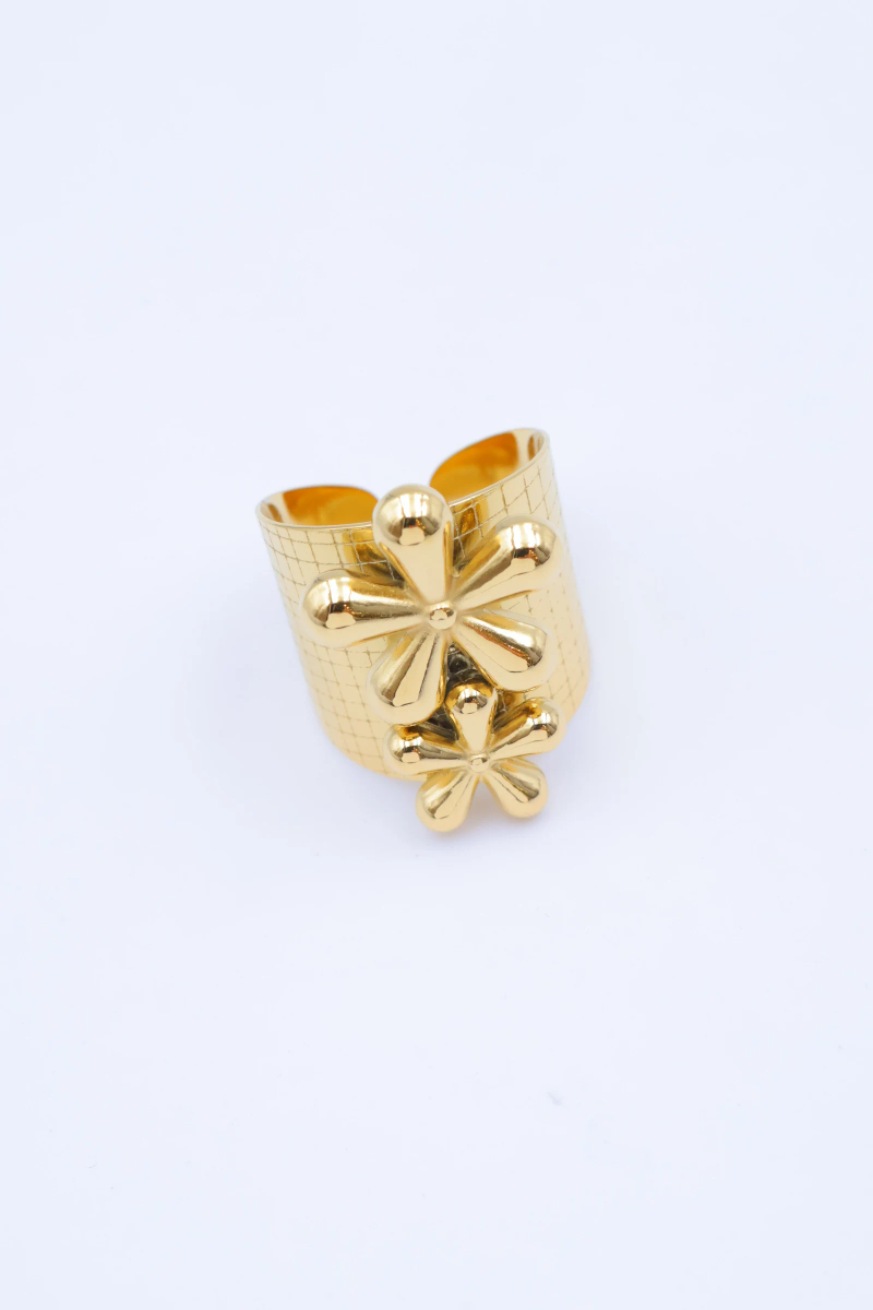 Bague en acier inoxydable ajustable 2