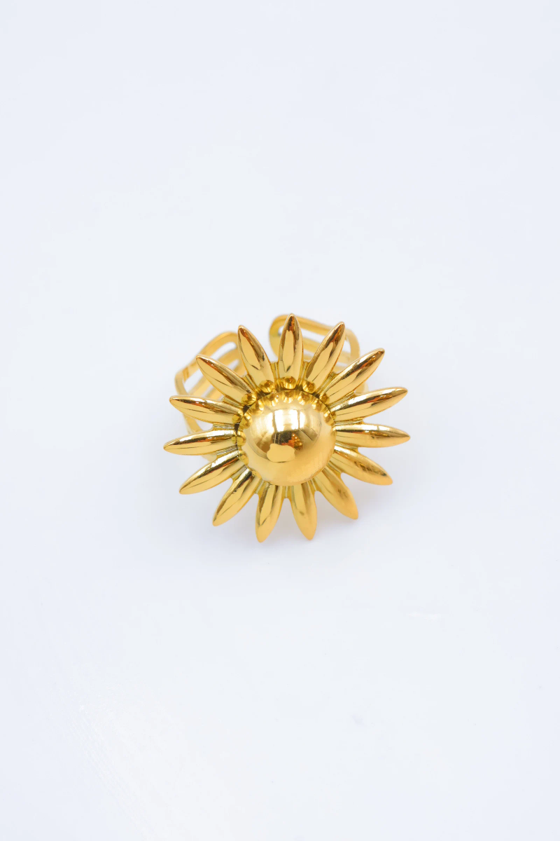 Bague ajustable en acier inoxydable 2