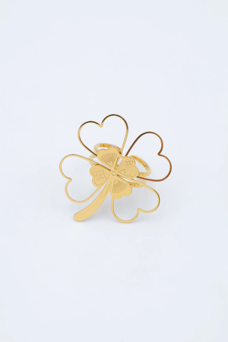 Bague en acier inoxydable ajustable 2