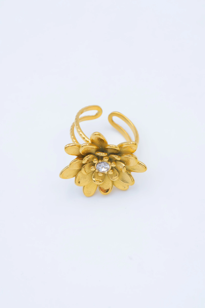 Bague en acier inoxydable ajustable 2