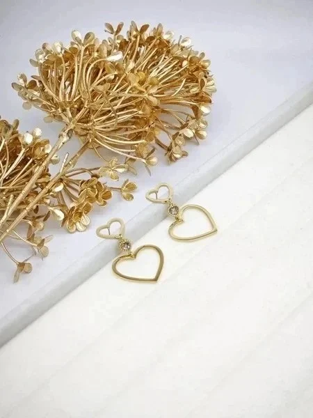 Stainless steel earrings 2