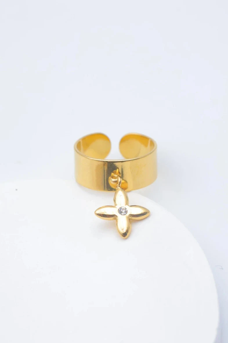 Adjustable stainless steel ring 2