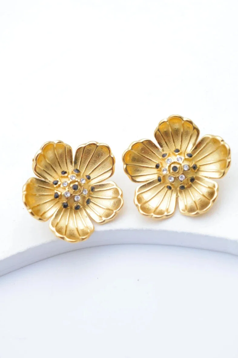 Stainless steel earrings 2