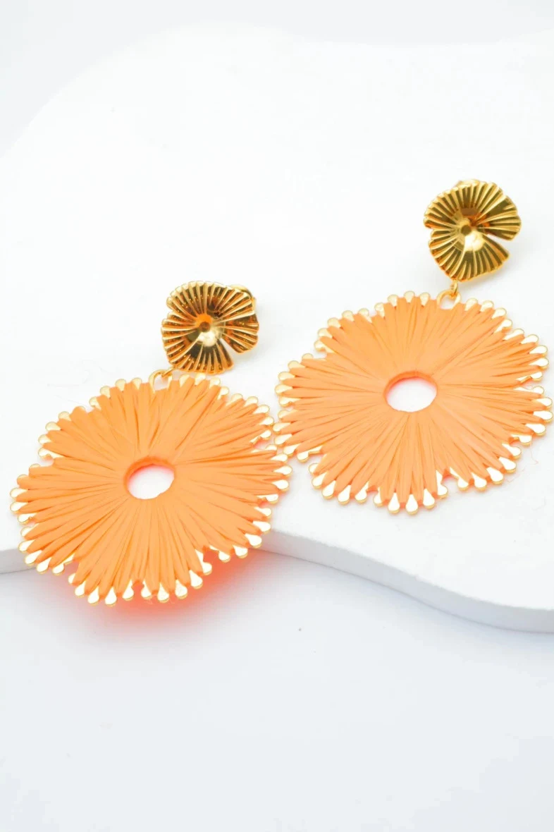 Stainless steel earrings 2