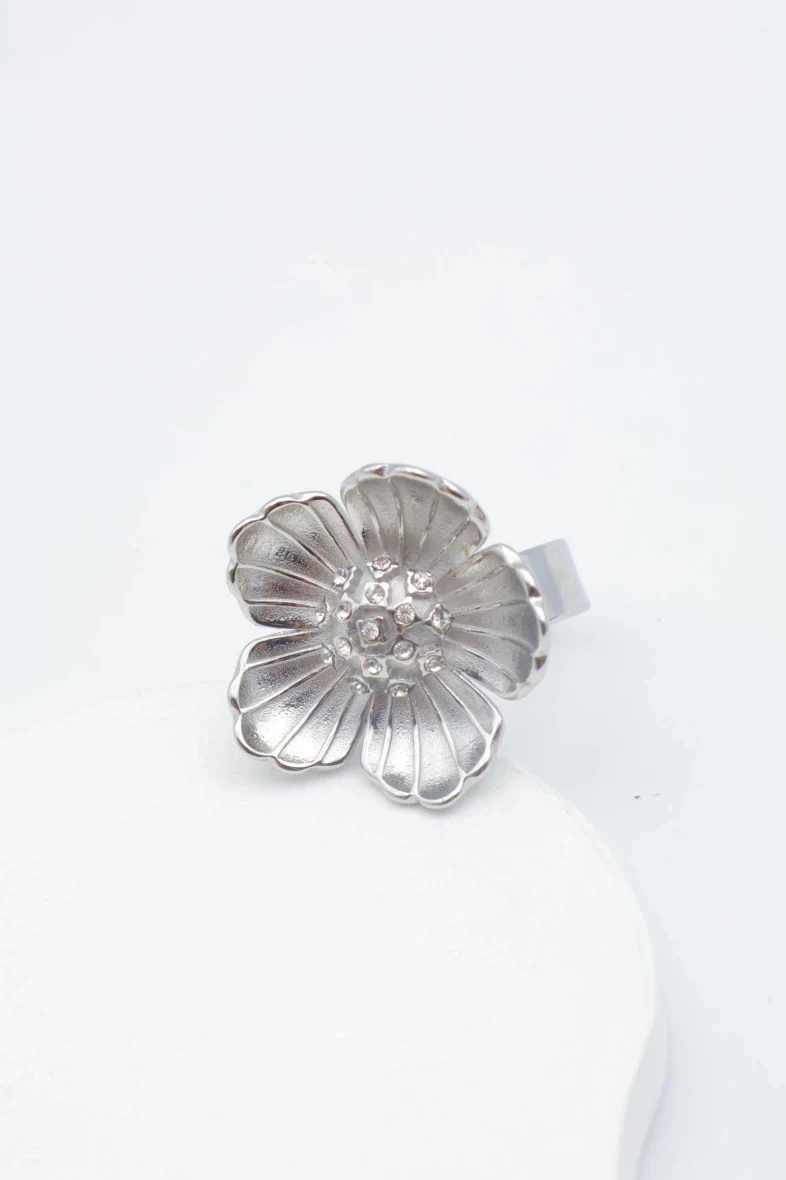 Bague en acier inoxydable ajustable 2