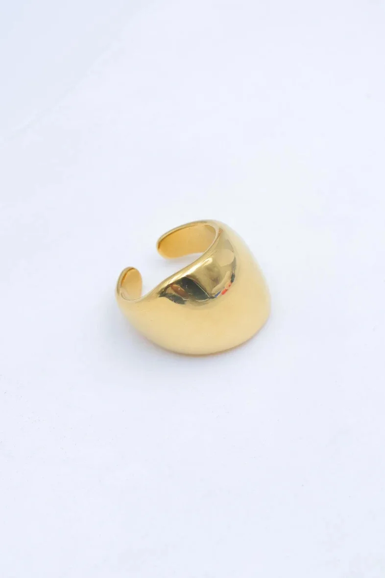 Bague en acier inoxydable ajustable 2
