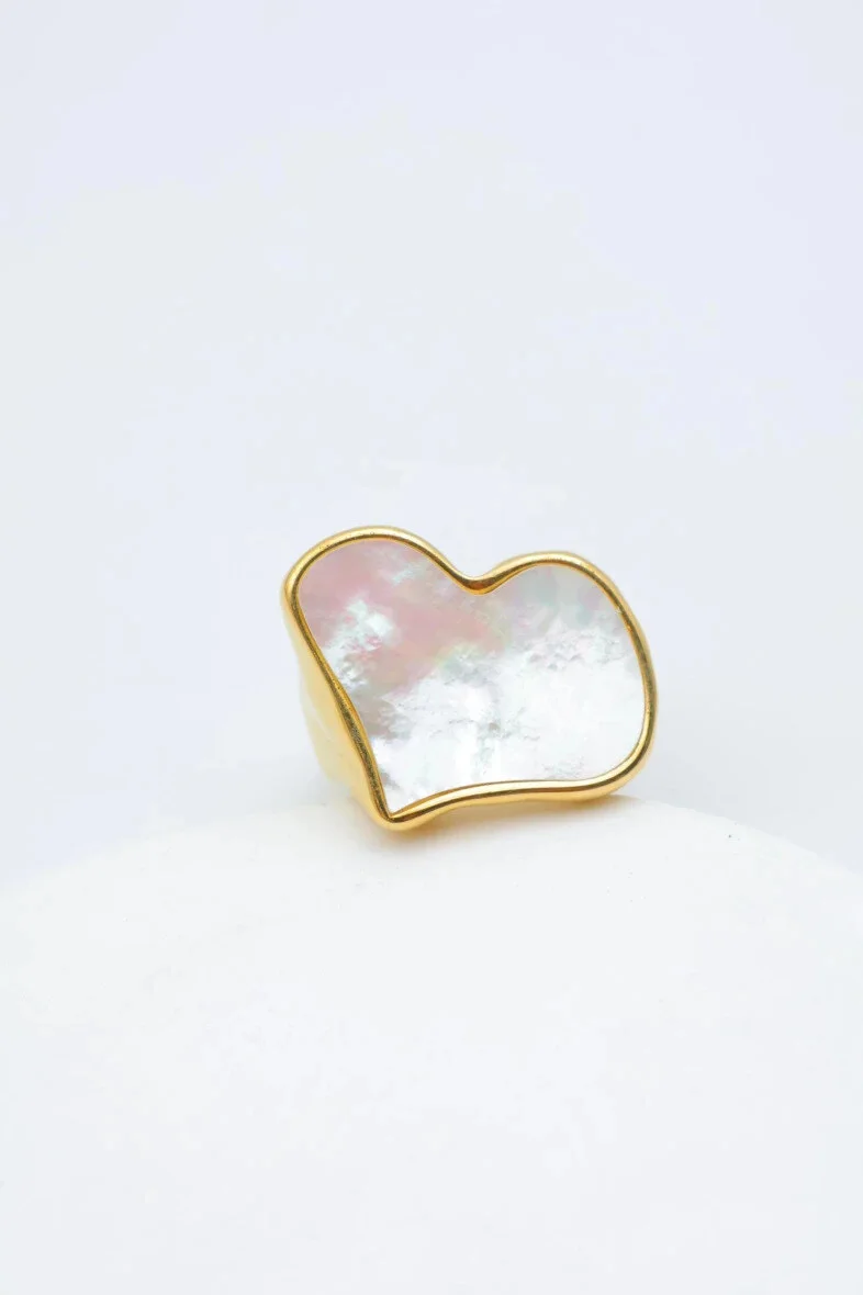 Bague en acier inoxydable ajustable 2