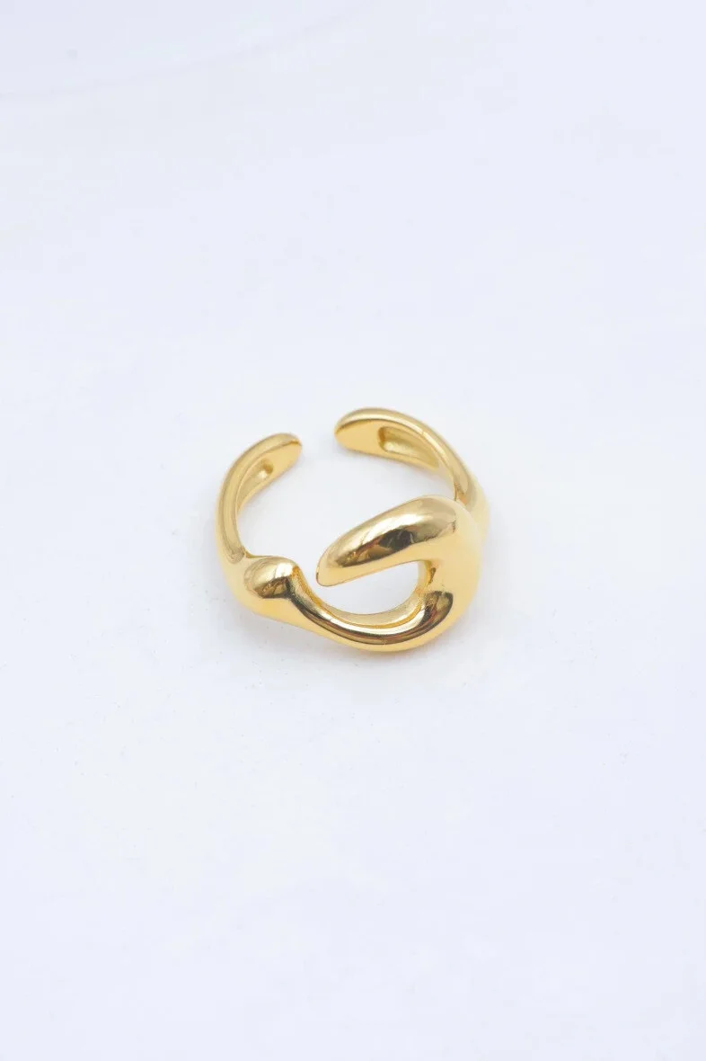Bague en acier inoxydable ajustable 2