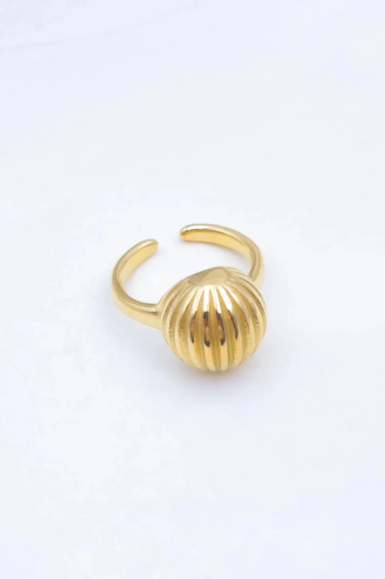 Bague en acier inoxydable ajustable 2