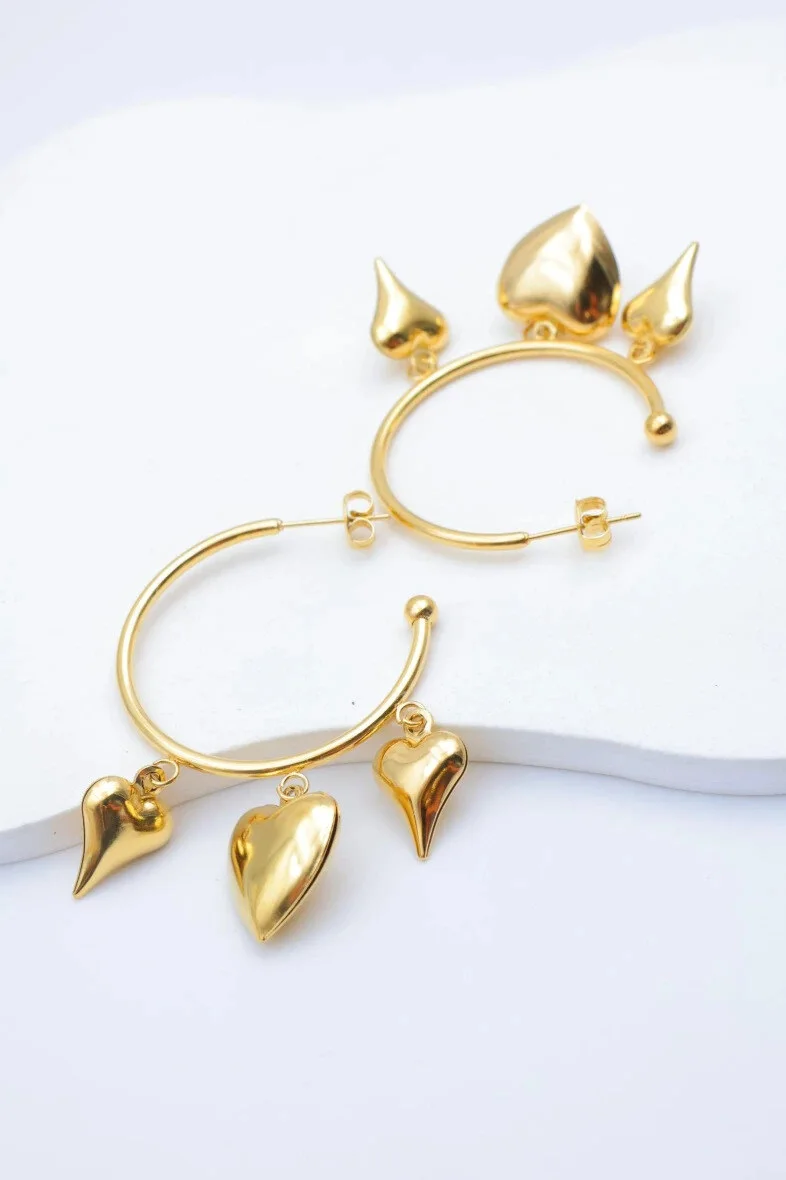 Stainless steel earrings 2