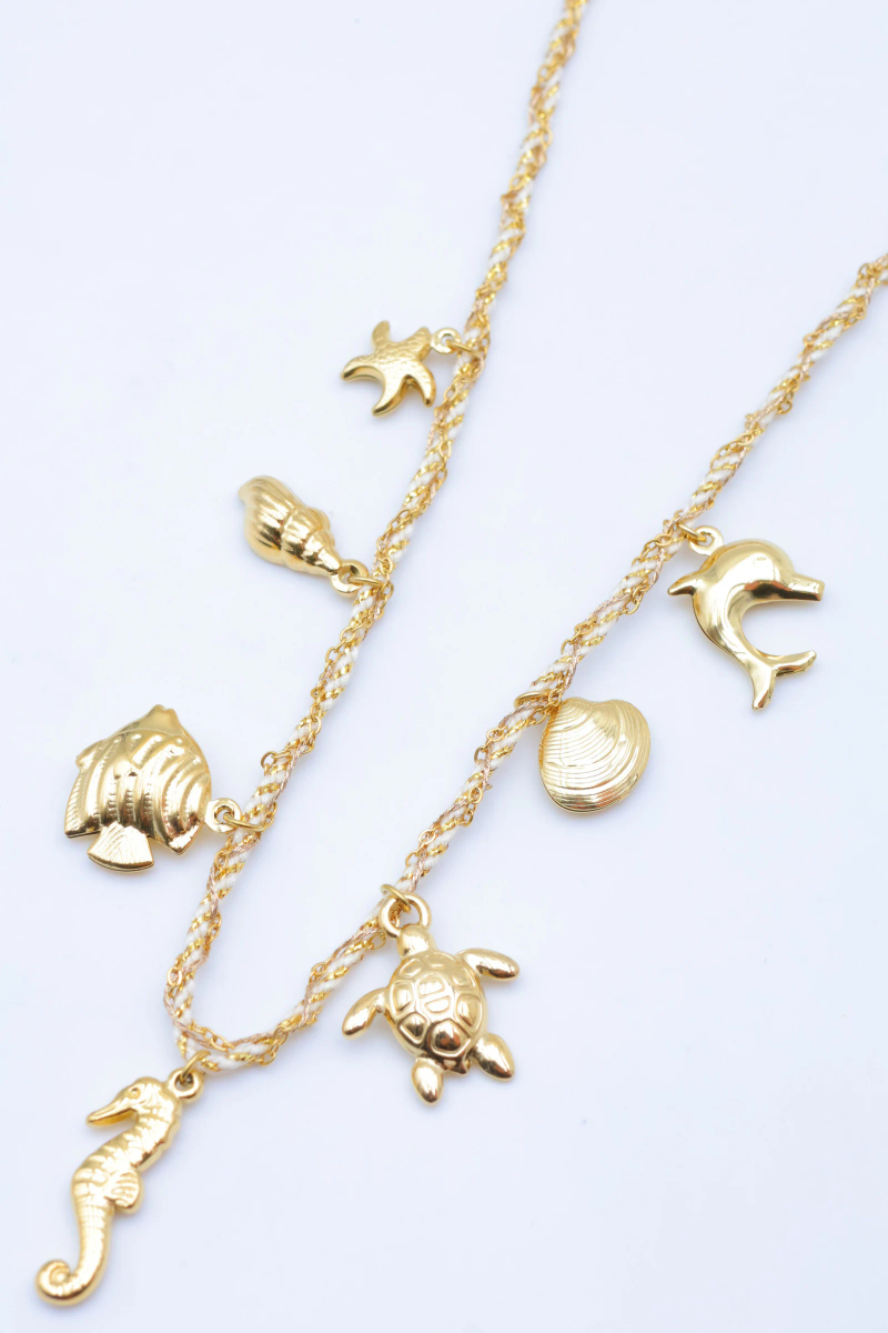 Collier en acier inoxydable 2