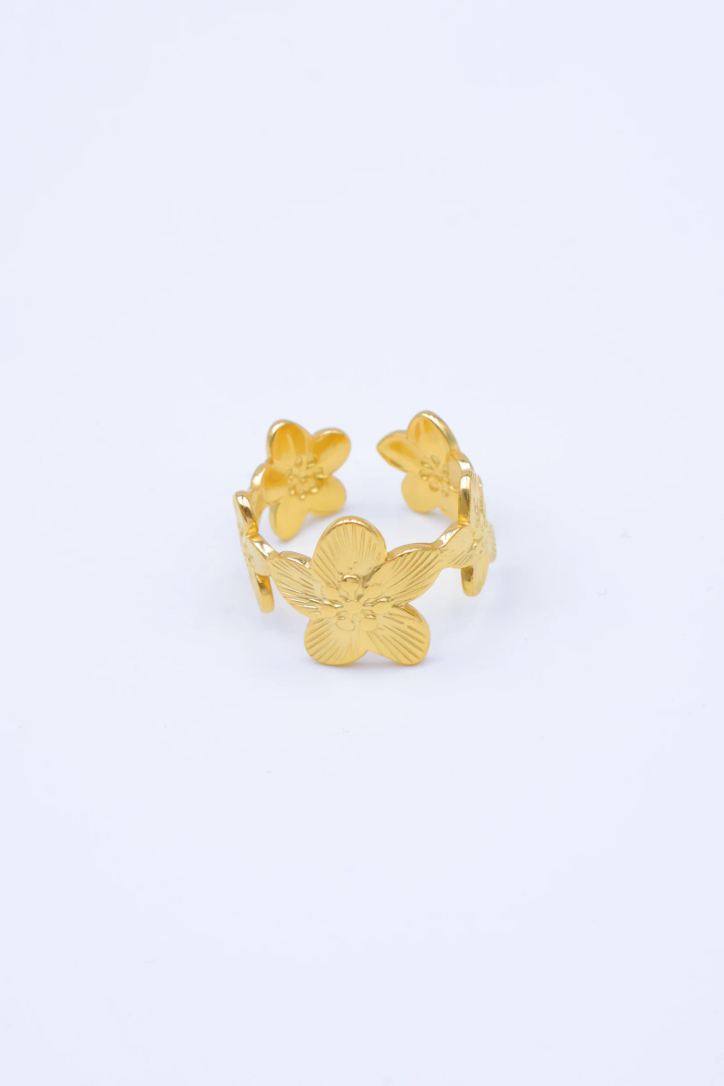 Bague en acier inoxydable ajustable 2