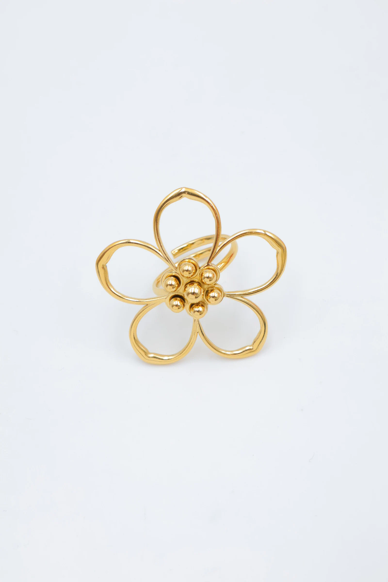 Bague en acier inoxydable ajustable 2