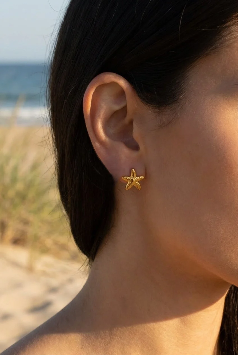 Stainless steel earrings 2