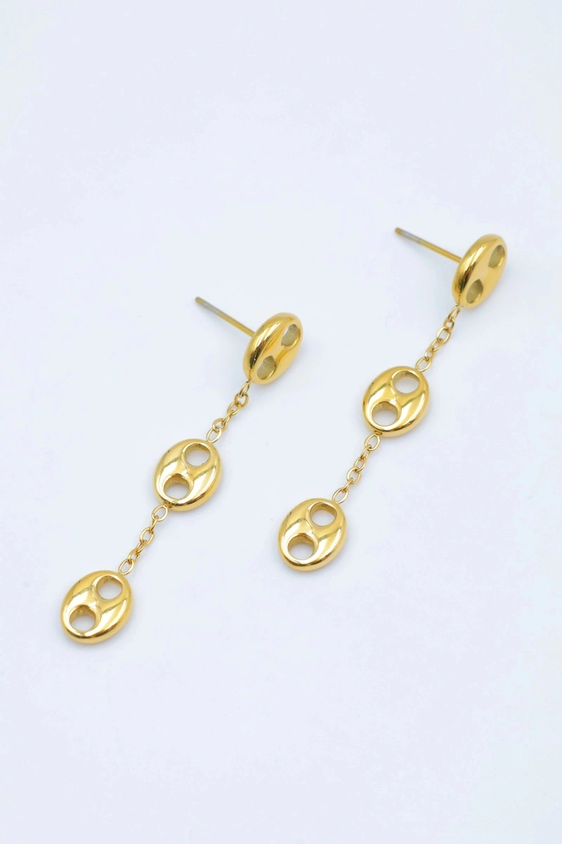 Stainless steel earrings 2