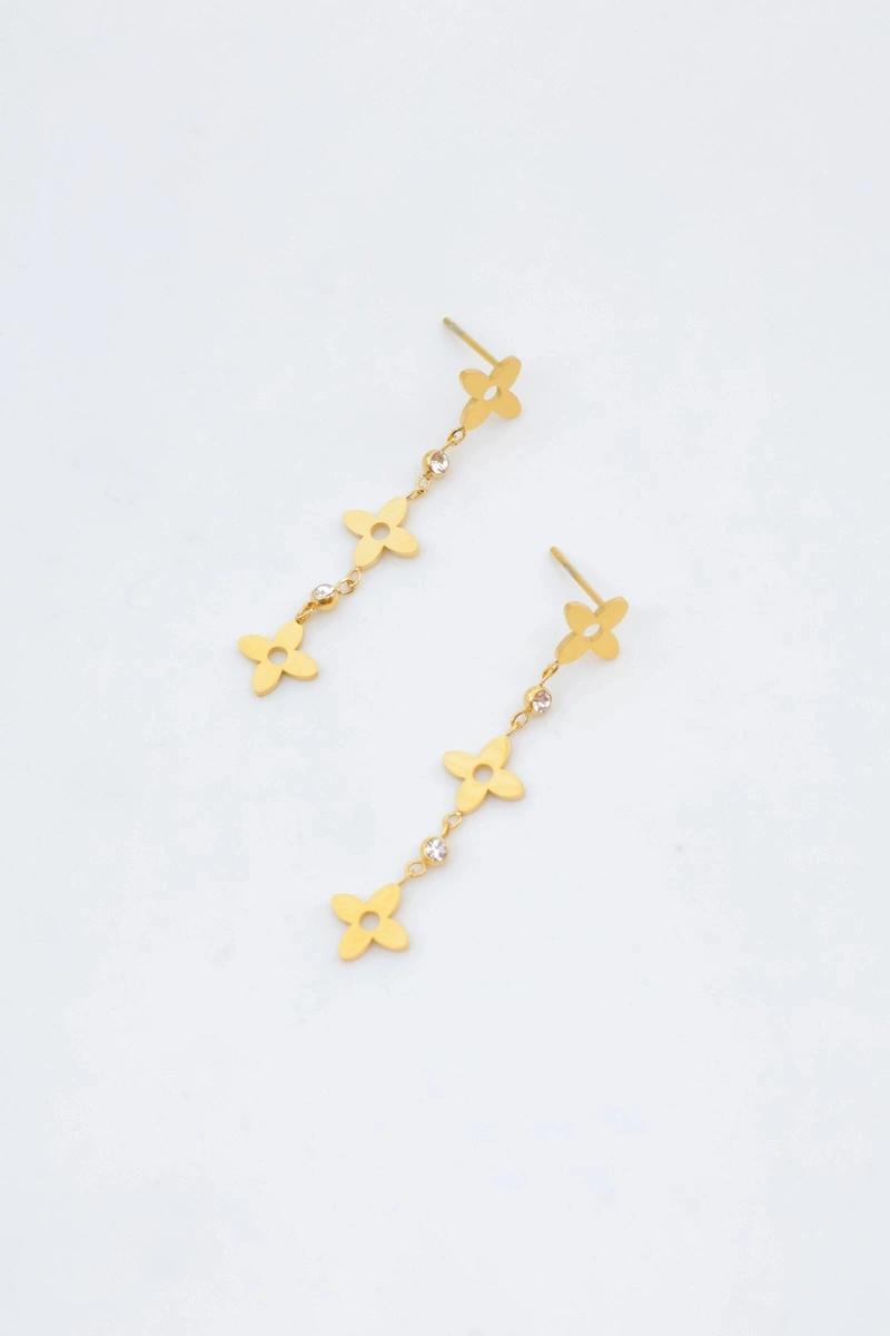 Boucles d'oreilles en acier inoxydable 2
