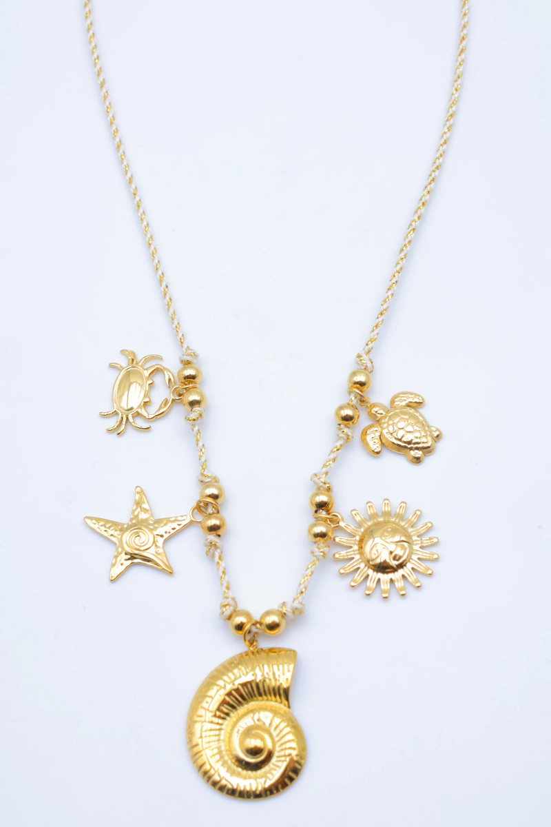 Collier en acier inoxydable 2