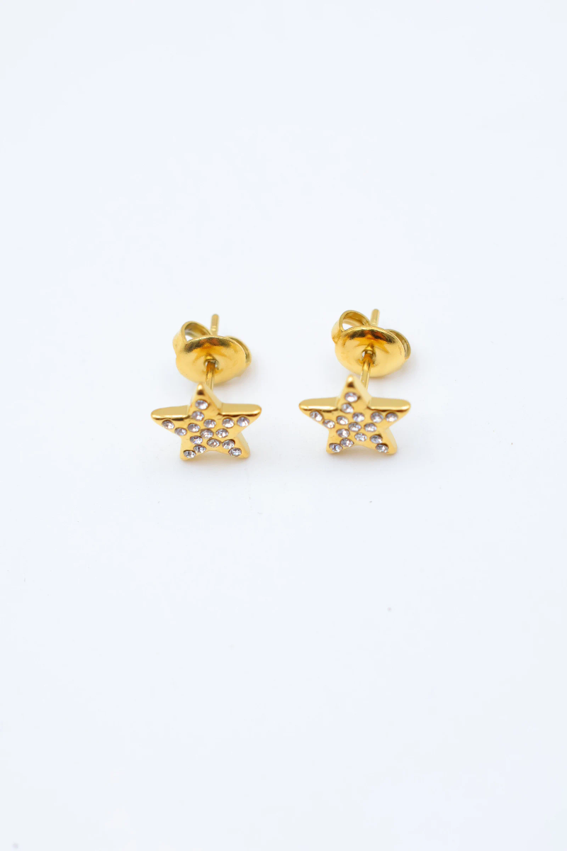 Boucles d'oreilles en acier inoxydable 2