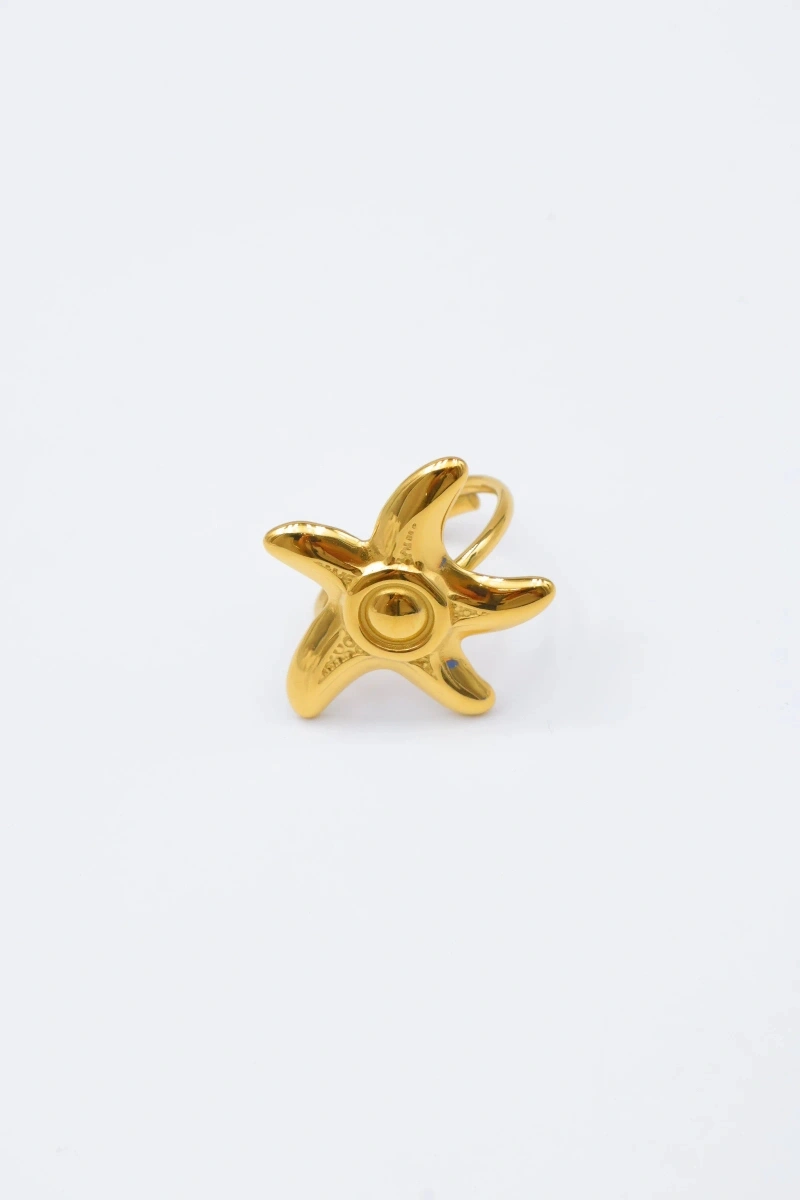 Bague en acier inoxydable ajustable 2