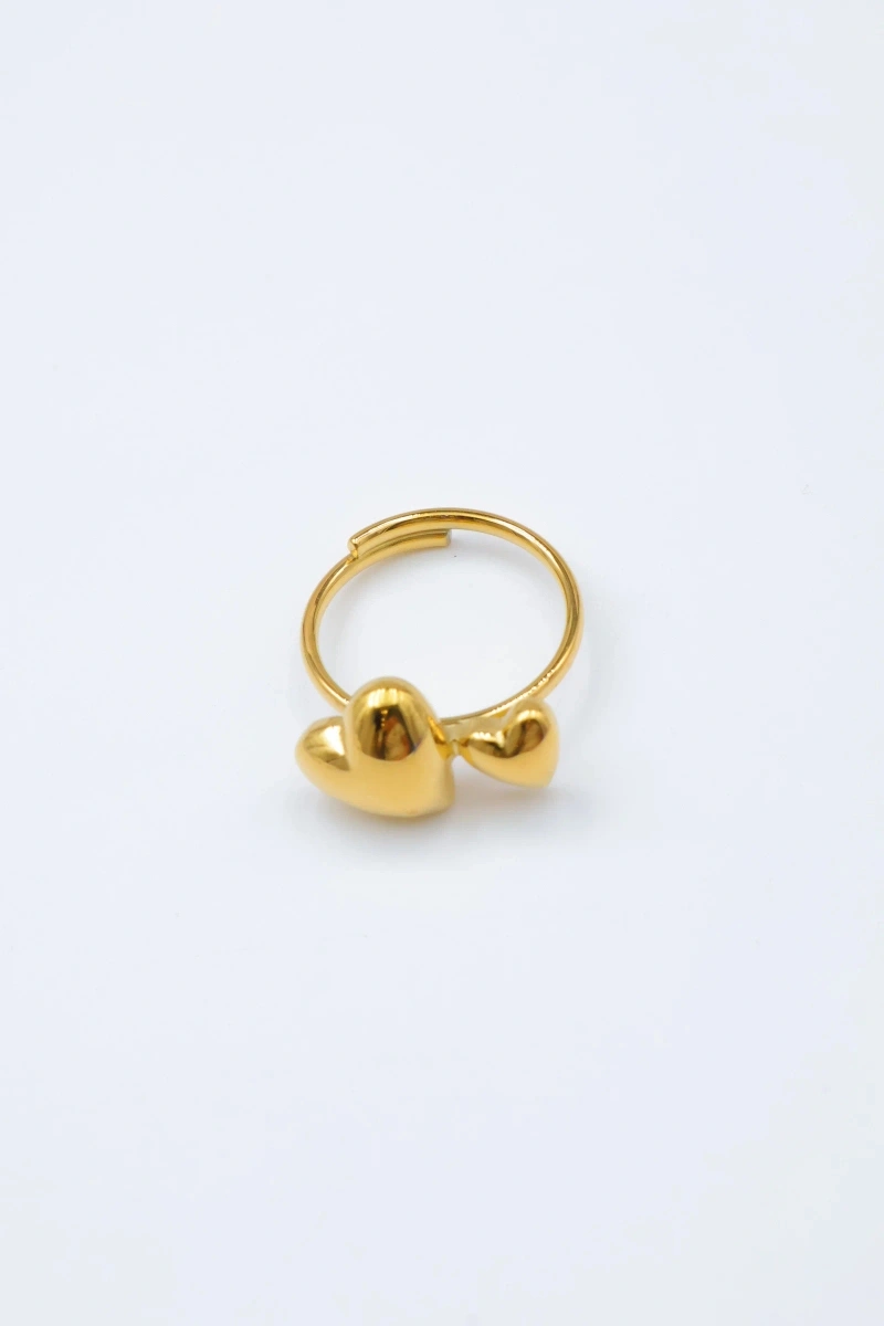 Bague en acier inoxydable ajustable 2