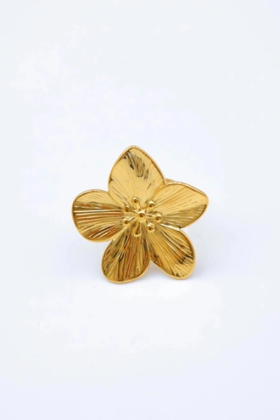 Adjustable stainless steel ring 2